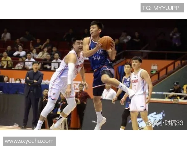 山东高速男篮最新动态分析及未来比赛展望与球员表现评估