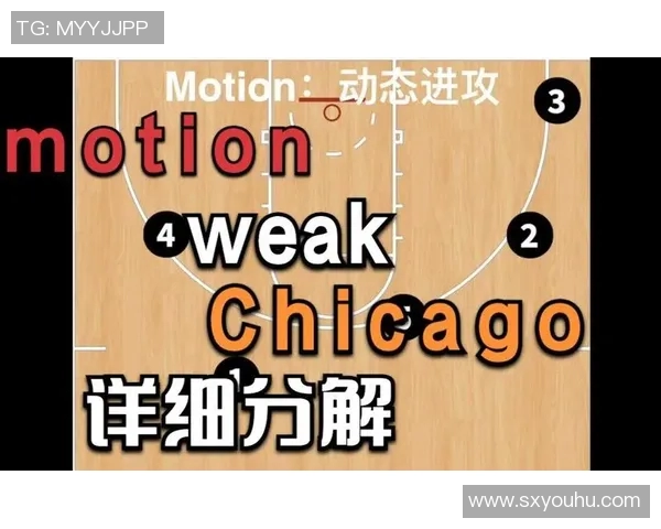 勇士战术体系的深度解析与未来发展趋势探讨